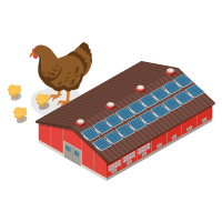 Livestock